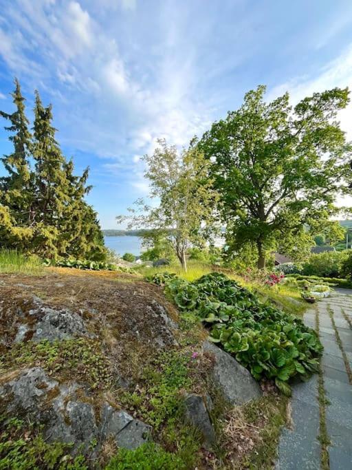 Mysigt Sommarhus Med Havsutsikt Och Bastu